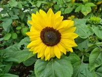20210717_122128.webp