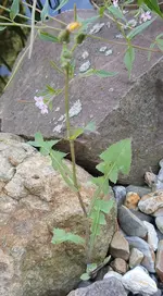20210717_175412.webp