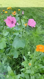 20210717_175518.webp