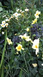 20210717_200358.jpg