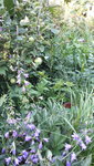 20210717_200340.jpg