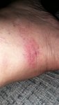 20210717_204429.jpg
