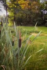 IMG_20210718_0625556-01.webp