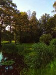 IMG_20210718_0627477-01.jpeg