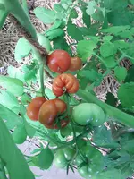20210718_085401.webp
