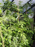 20210718_085455.webp