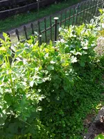 20210718_090901.webp