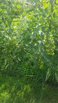 20210718_101823.jpg