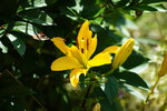 DSC01078.JPG