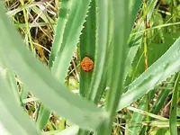 IMG_20190610_094124.jpg