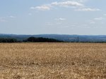IMG-20210718-WA0019.jpg