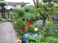 IMG_7535.webp