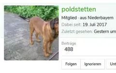 Poldi.webp