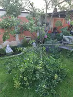 20210719_081526.webp