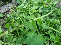 20210719_121549.webp
