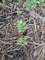 IMG_20210714_164330.webp IMG_20210714_164330.webp