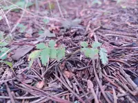 IMG_20210714_164341_1.webp IMG_20210714_164341_1.webp