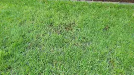IMG_20210720_061542.jpg