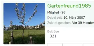 garten.webp
