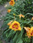 IMG_20210718_104529.jpg