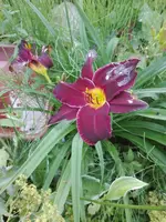 IMG_20210718_104401.webp