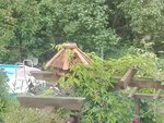 IMG_20210705_141955.jpg
