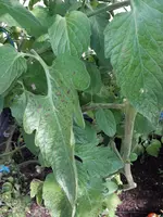 20210720_111047.webp