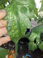 20210720_111056.webp
