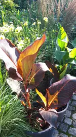 20210720_085720.webp