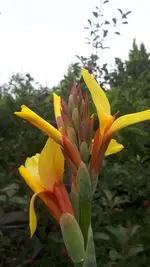20210716_183906.webp
