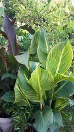 20210720_085703.webp