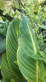 20210720_085608.webp