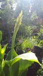 20210720_085805.jpg