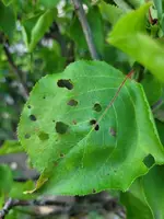 20210720_191629.webp