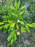 20210720_191642.webp