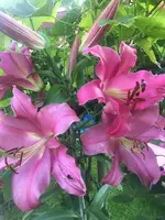 F80230F9-529D-4A22-A4E5-BFD432B4C551.webp