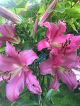 3E8E597B-3DCE-41BD-929A-B6431D95A8FD.jpeg