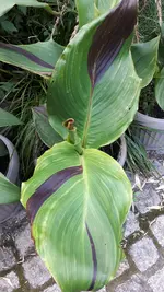 20210720_171631.webp