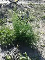 20160704_172852.webp 20160704_172852.webp