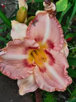 20210719_201728.webp