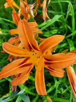 20210717_122716.webp