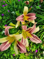 20210717_122748.webp