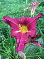 64-Autuum Wine_099.webp