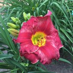 68_Lovely Ladyburg_01.jpg