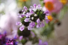 image002.jpg