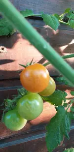 20210721_195508.webp