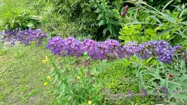 20210719_110416.webp