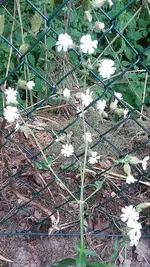 20210719_110829.webp
