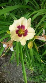 20210719_110502.webp