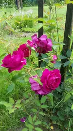 20210719_110238.webp